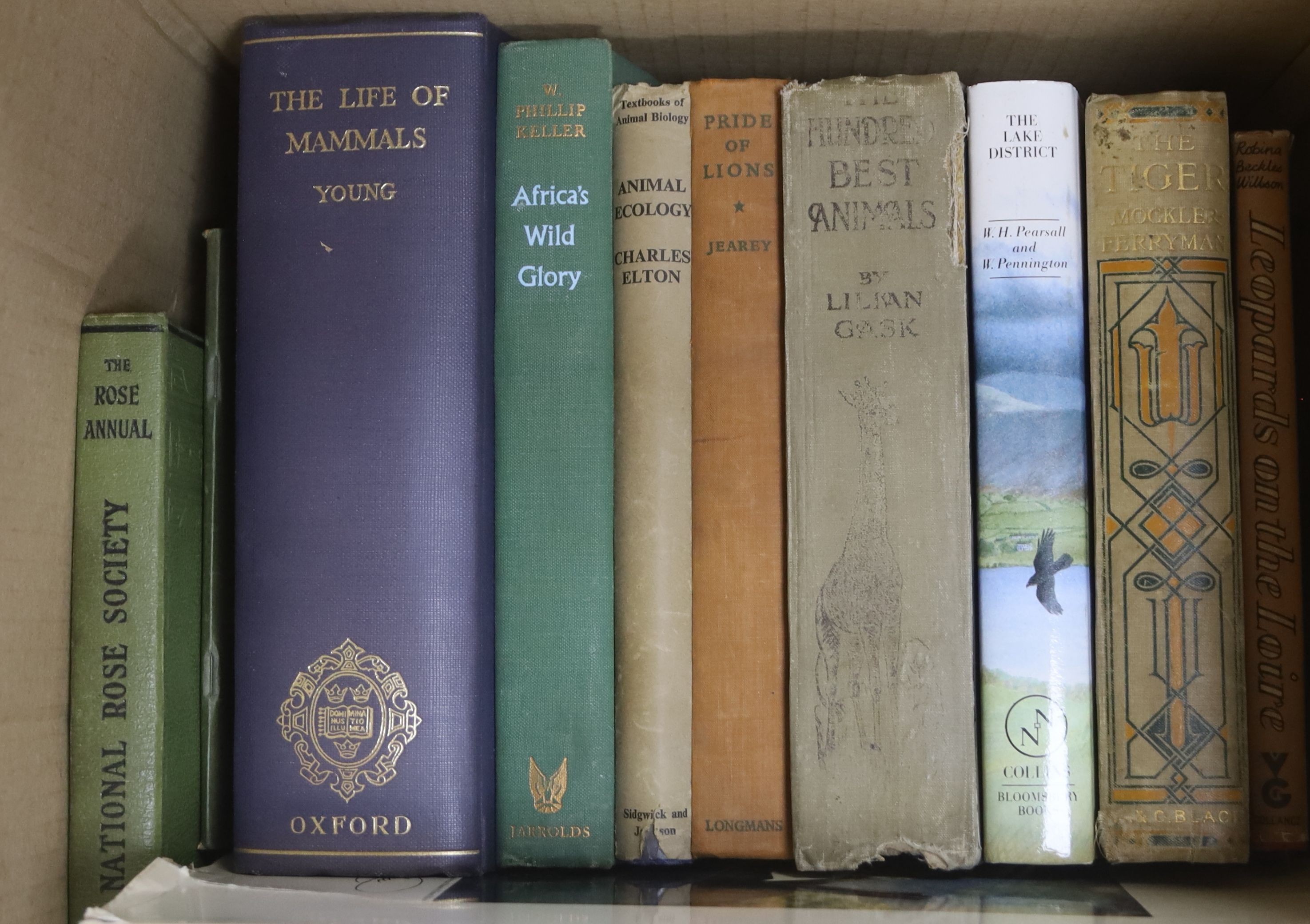 Two boxes of books on butterflies, British birds, mammals etc